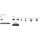 Philips 32PHH4309 - 1401506 - zdjęcie 3